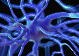 Nerve cells or Neurons