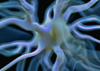 Nerve cells or Neurons