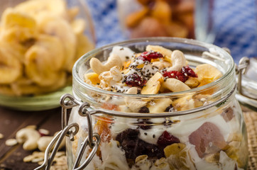 Homemade yogurt with granola, dried fruit and nuts bio