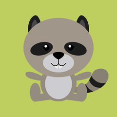 Racoon