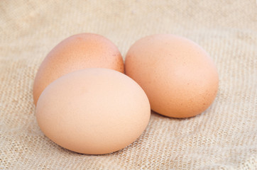 close up eggs