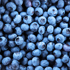 Reife und saftige Heidelbeeren