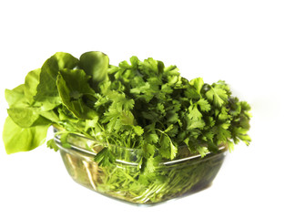  leaves of coriander and lettuce