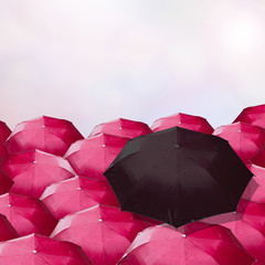 Black umbrella in a red umbrella gorup. Concepcion regarded the