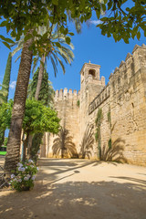 Fototapeta na wymiar Cordoba - The walls of palace Alcazar de los Reyes Cristianos.