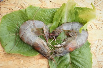 Fresh shrimp and green vegetables