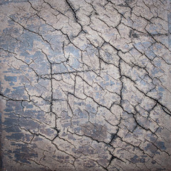 background image Theme wood