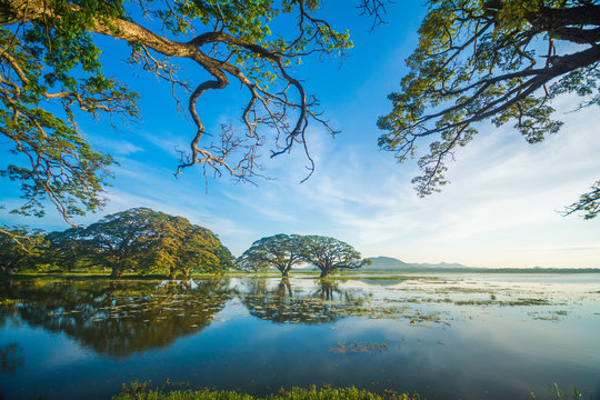 Fototapeta Lake in the morning at Kataragama, Sri Lanka