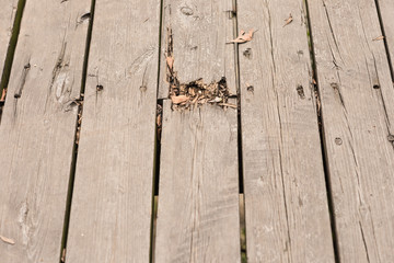 wood plank veritcal and close up as background