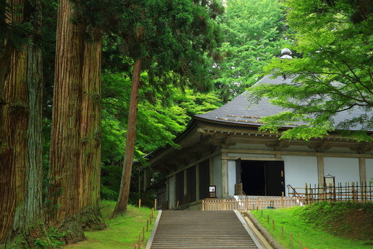 1 390 件の最適な 中尊寺 画像 ストック写真 ベクター Adobe Stock