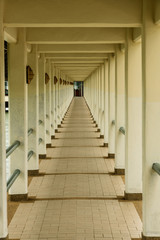 path corridor