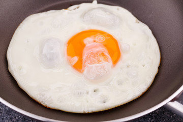 Fried egg