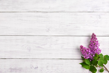 The beautiful lilac on a wooden background