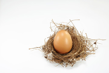 Egg with nest  isolated on white background