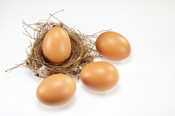Eggs with nest  isolated on white background
