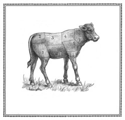 Calf chart  with numbered cuts, collage and elaboration from antique engravings