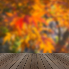 Naklejka na ściany i meble blur maple tree in autumn season The concept of natural warm