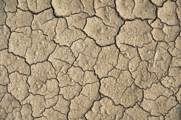 Dry earth