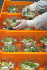 Salad production hygiene