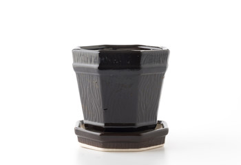 small potted isolated on white background