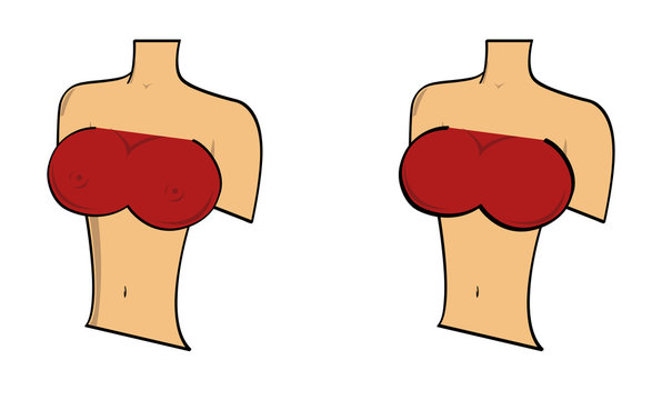 Woman's upperbody with big breasts