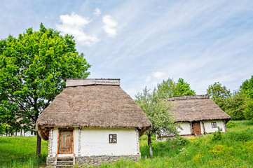 Plakat Old white clay houses with thatched roofs and wooden doors on a hill in a field of yellow flowers surrounded by trees.