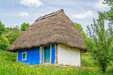 Fototapeta na wymiar White and blue old clay house with a thatched roof and exposed wooden beams in a field of yellow flowers.