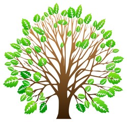 Naklejka premium Tree