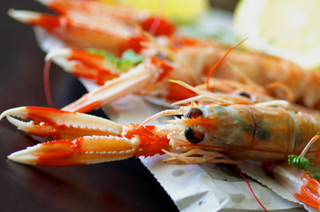 Langoustines