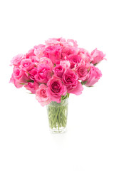 pink rose