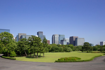 Obraz premium 皇居東御苑からの大手町ビル群の眺め