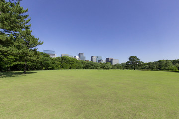 Fototapeta na wymiar 皇居東御苑からの大手町ビル群の眺め