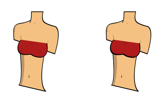 Woman's upperbody with small breasts