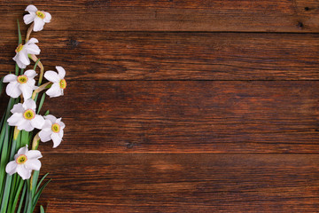 Daffodils on wooden background, copy space
