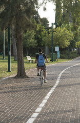Boy riding a bicycle in a park