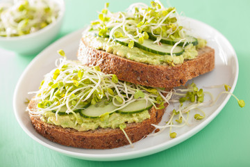 healthy rye bread with avocado cucumber radish sprouts
