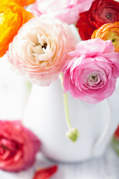 Beautiful Ranunculus Flowers In Vase