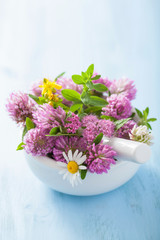colorful medical flowers and herbs in mortar