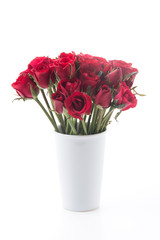 Obraz premium red rose