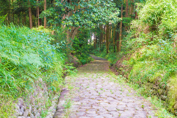 Obraz premium Stone pavement of Japan 