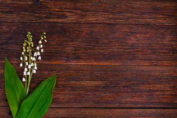 Lilies of the valley on wooden background, copy space