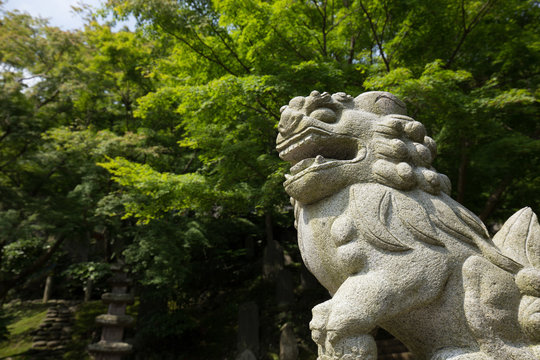 こまいぬ Images – Browse 321 Stock Photos, Vectors, and Video