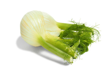 Florence fennel bulb on white © Andrzej Tokarski