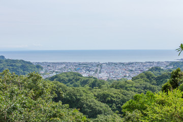 Fototapeta na wymiar 天園ハイキングコースからの鎌倉の町並みの眺め