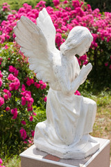 Tranquil Scene of Woman angel statue at the blurred background.