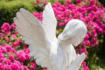 Tranquil Scene of Woman angel statue at the blurred background.
