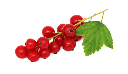Bunch of ripe redcurrant with green leaf (isolated)
