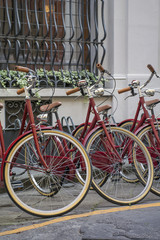 Bicycles on the streets of Florence