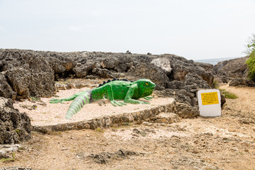 Statue of Green Lizard on Sand by Black Coral