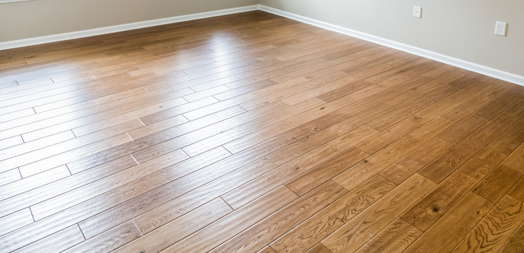 Shiny New Hardwood Floor